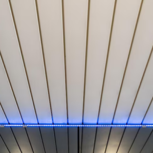 PVC soffit panel for ceiling